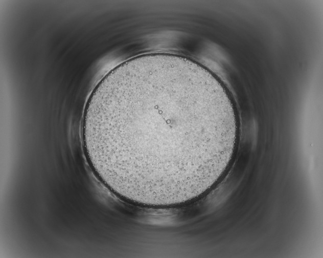 X0000085211338200703091131