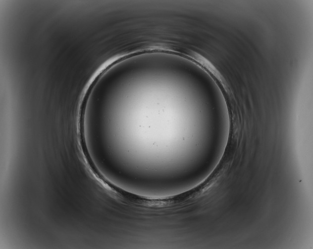 X0000085211339200703091131