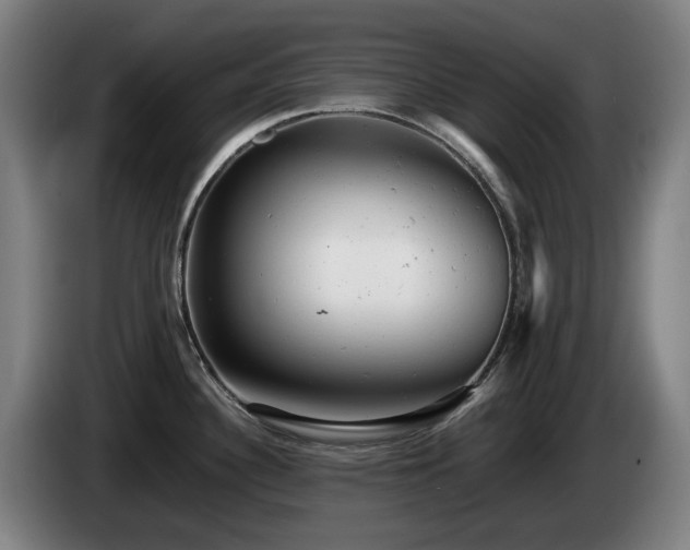 X0000085211340200703091131