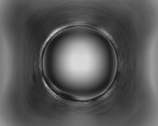 X0000085211342200703091131