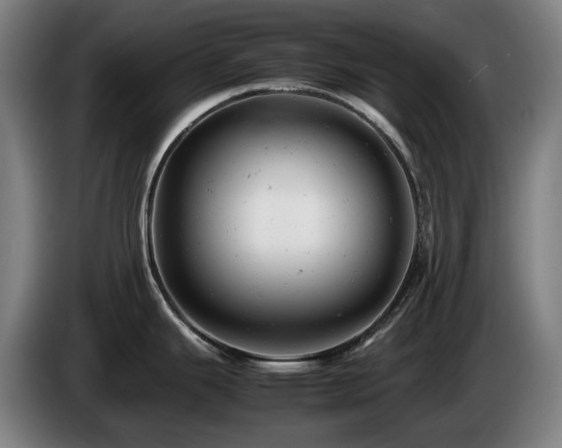 X0000085211343200703091131