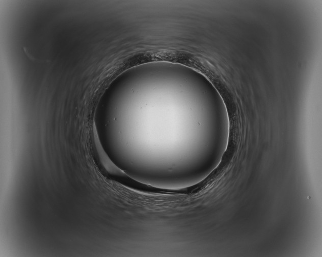 X0000085211345200703091130