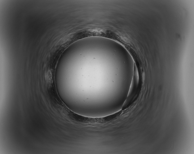 X0000085211347200703091130