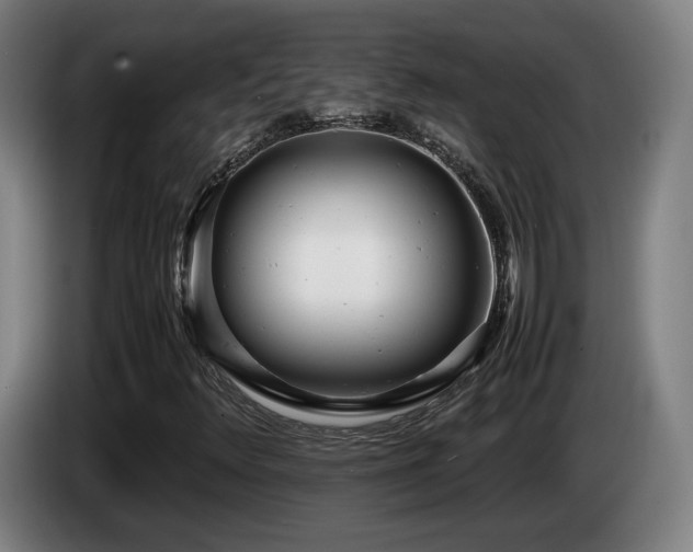X0000085211348200703091130