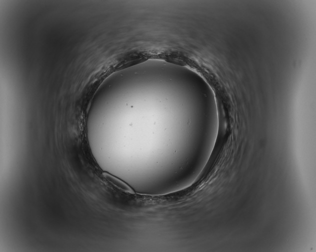 X0000085211349200703091130