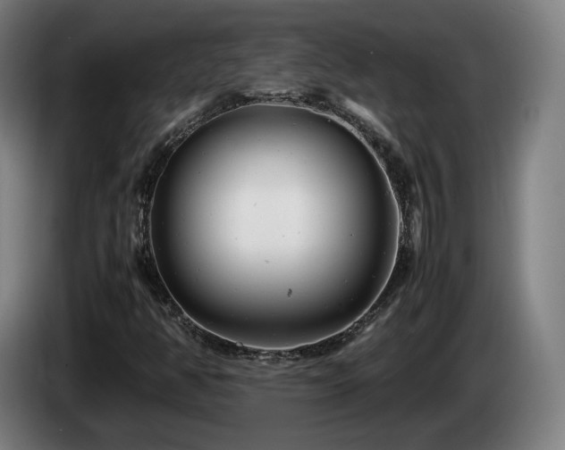 X0000085211350200703091130