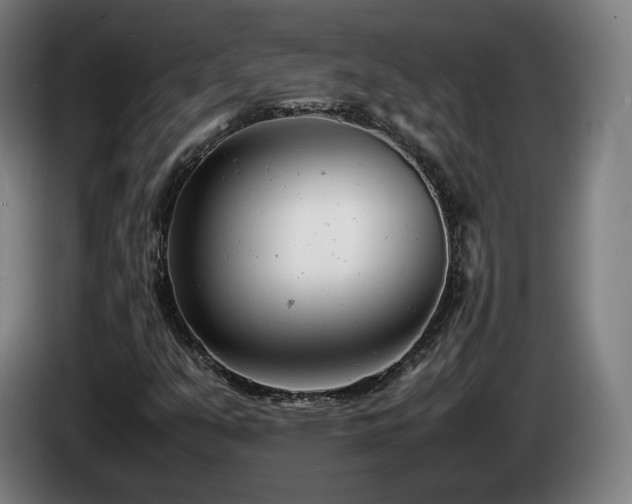 X0000085211351200703091130