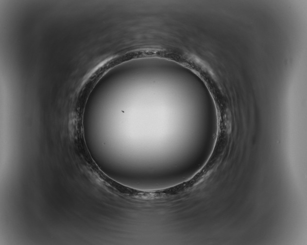 X0000085211352200703091130