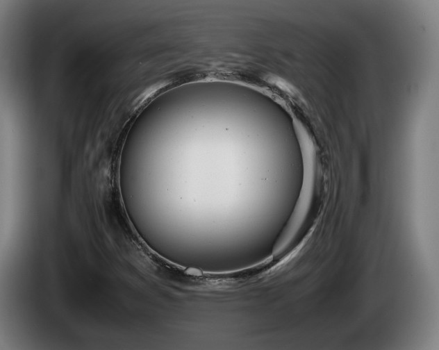 X0000085211353200703091130