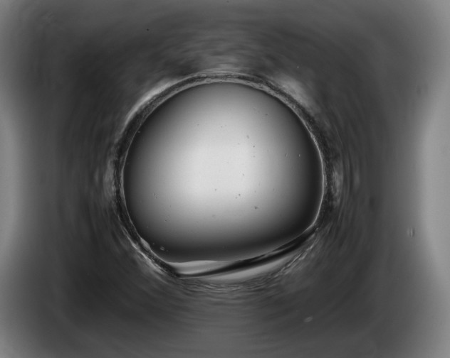 X0000085211356200703091130