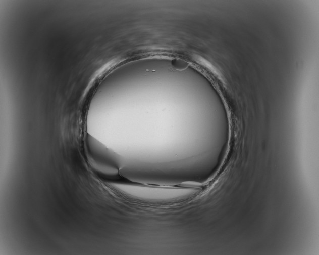 X0000085211357200703091130