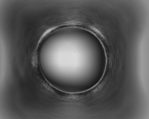 X0000085211358200703091130