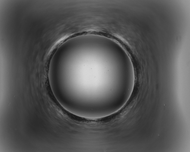 X0000085211359200703091130