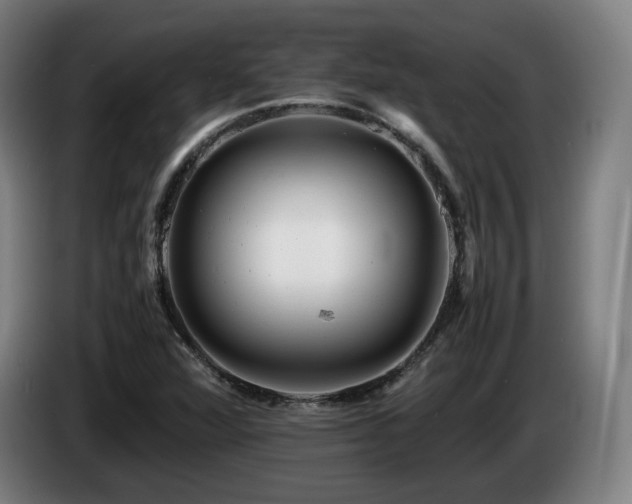 X0000085211360200703091130
