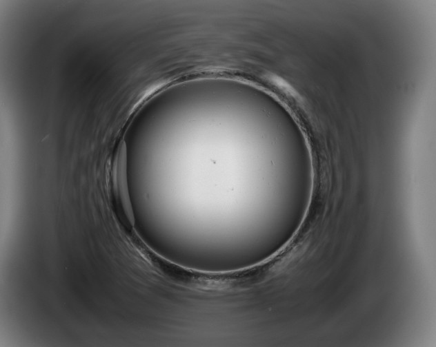 X0000085211361200703091130