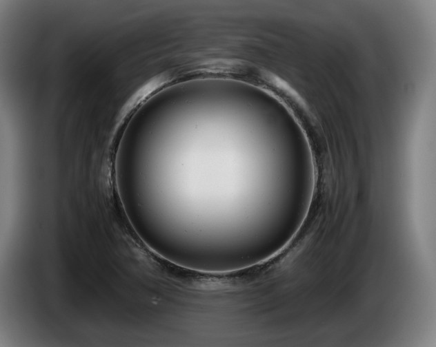 X0000085211362200703091130