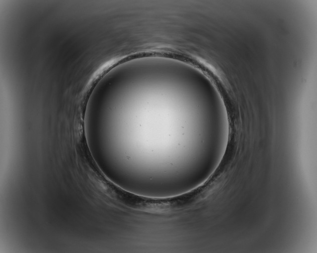 X0000085211363200703091130