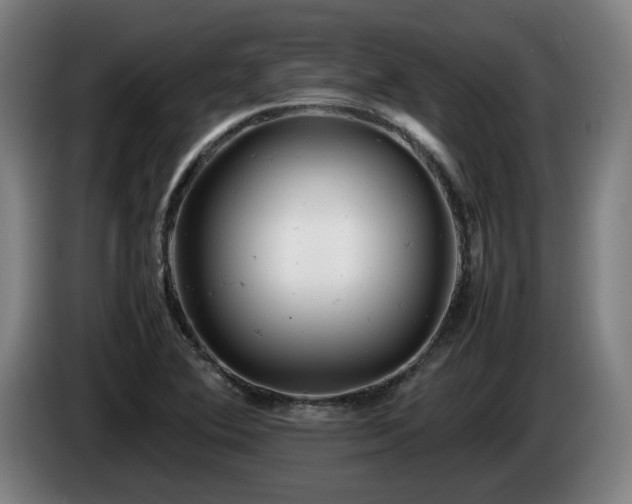 X0000085211364200703091130