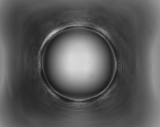 X0000085211366200703091130