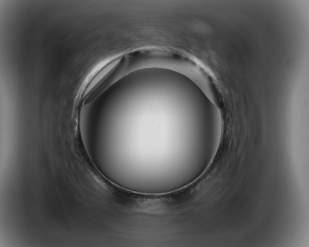 X0000085211367200703091130