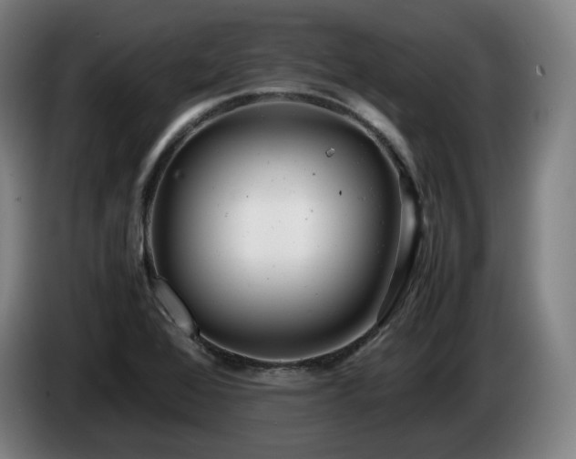 X0000085211368200703091130