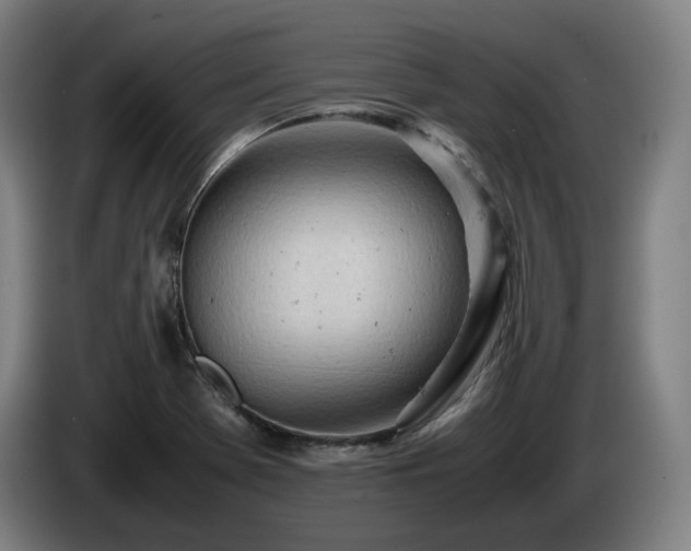 X0000085211369200703091130