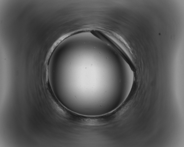 X0000085211371200703091130