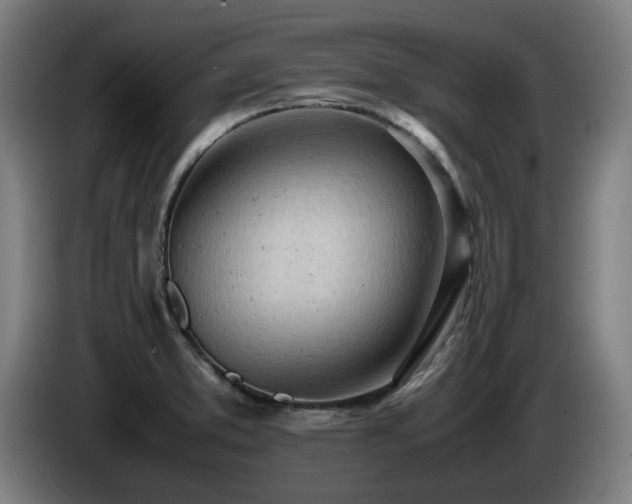 X0000085211373200703091130