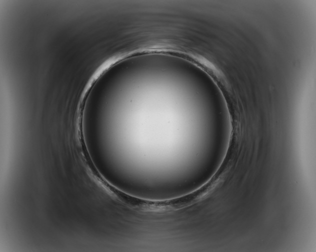 X0000085211374200703091130