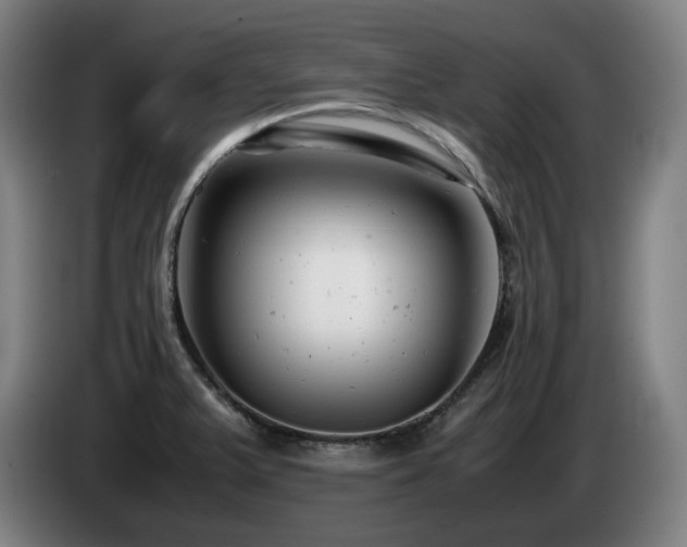 X0000085211375200703091130