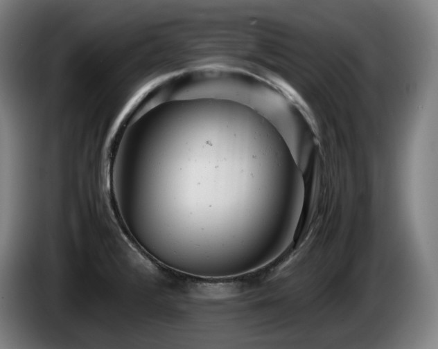 X0000085211376200703091130