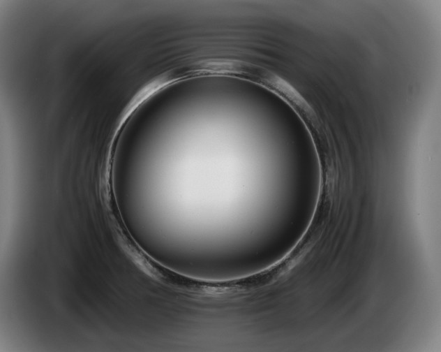 X0000085211378200703091129