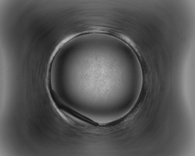 X0000085211379200703091129