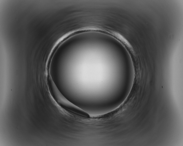 X0000085211380200703091129