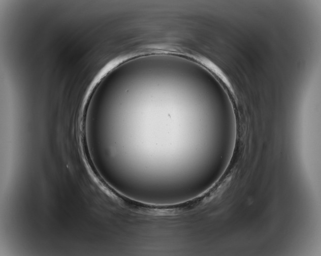 X0000085211381200703091129