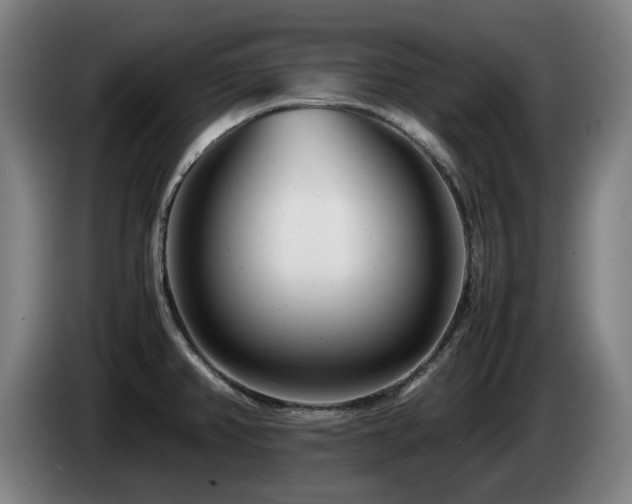X0000085211382200703091129