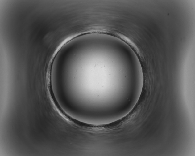X0000085211383200703091129