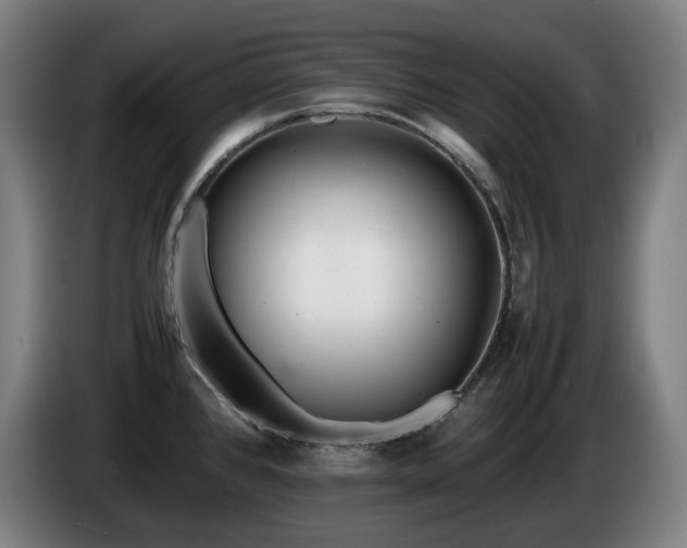 X0000085211384200703091129