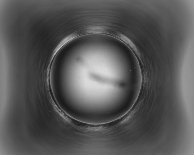 X0000085211386200703091129