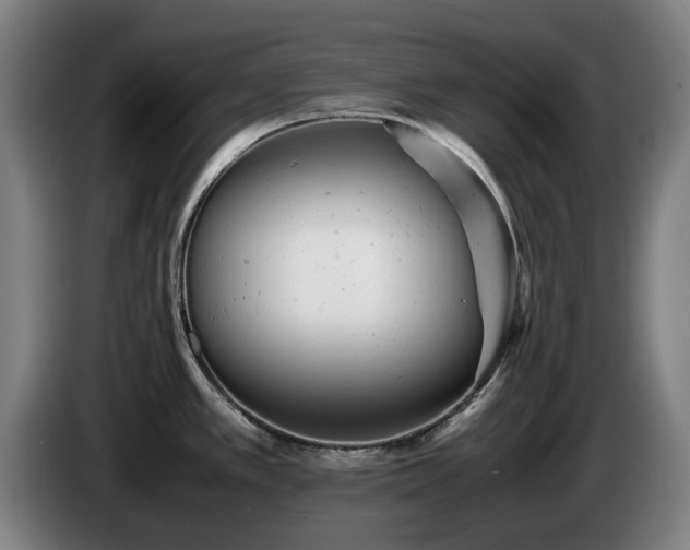 X0000085211389200703091129