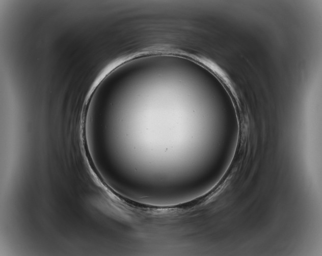 X0000085211390200703091129