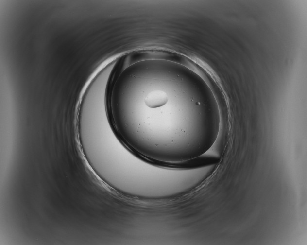 X0000085211392200703091129