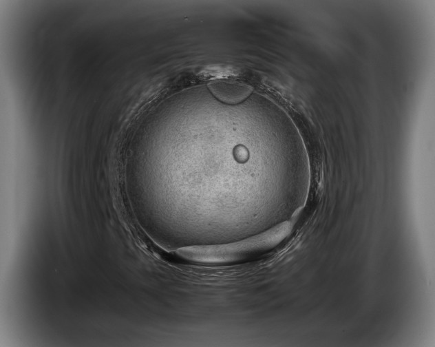X0000085211393200703091129
