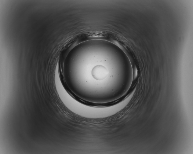 X0000085211394200703091129
