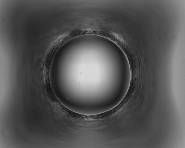X0000085211398200703091129