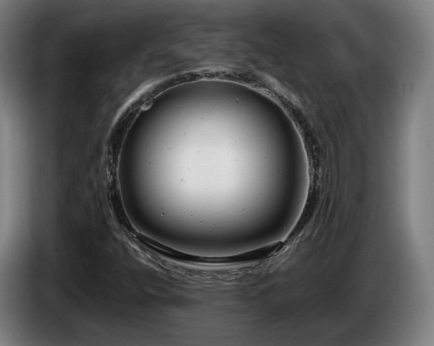 X0000085211400200703091129