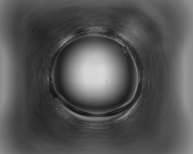 X0000085211401200703091129