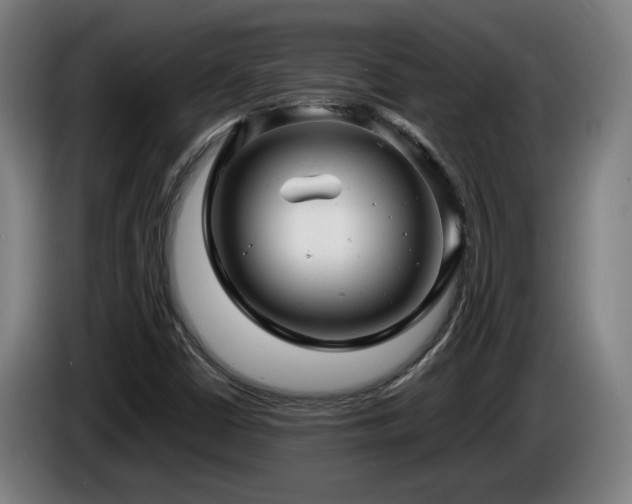 X0000085211402200703091129
