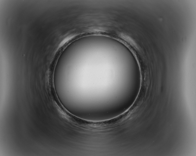 X0000085211404200703091129