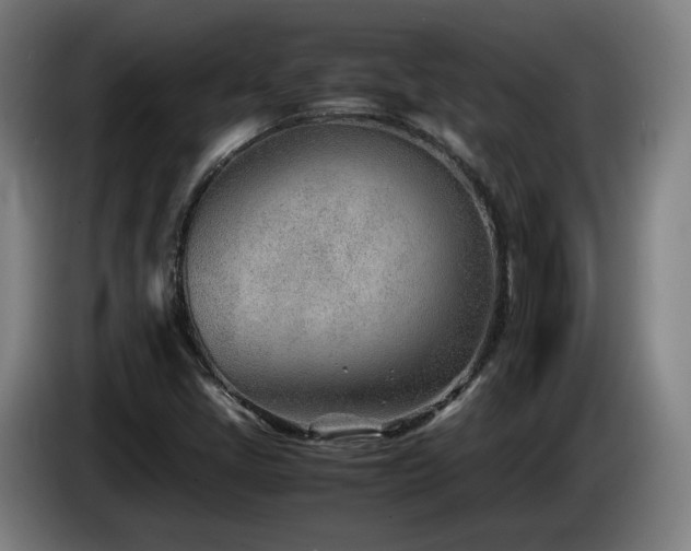 X0000085211405200703091129